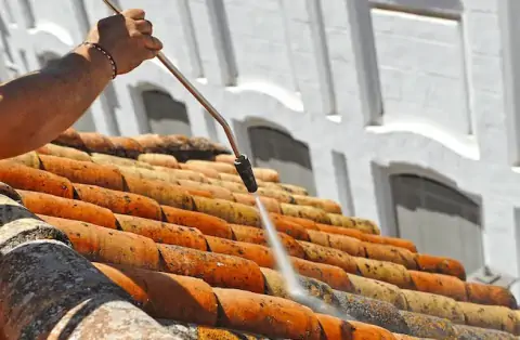 Démoussage de toiture à Plassay